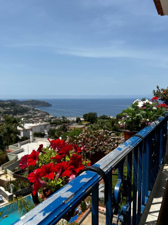 Hotel Fiorentina Casamicciola Terme