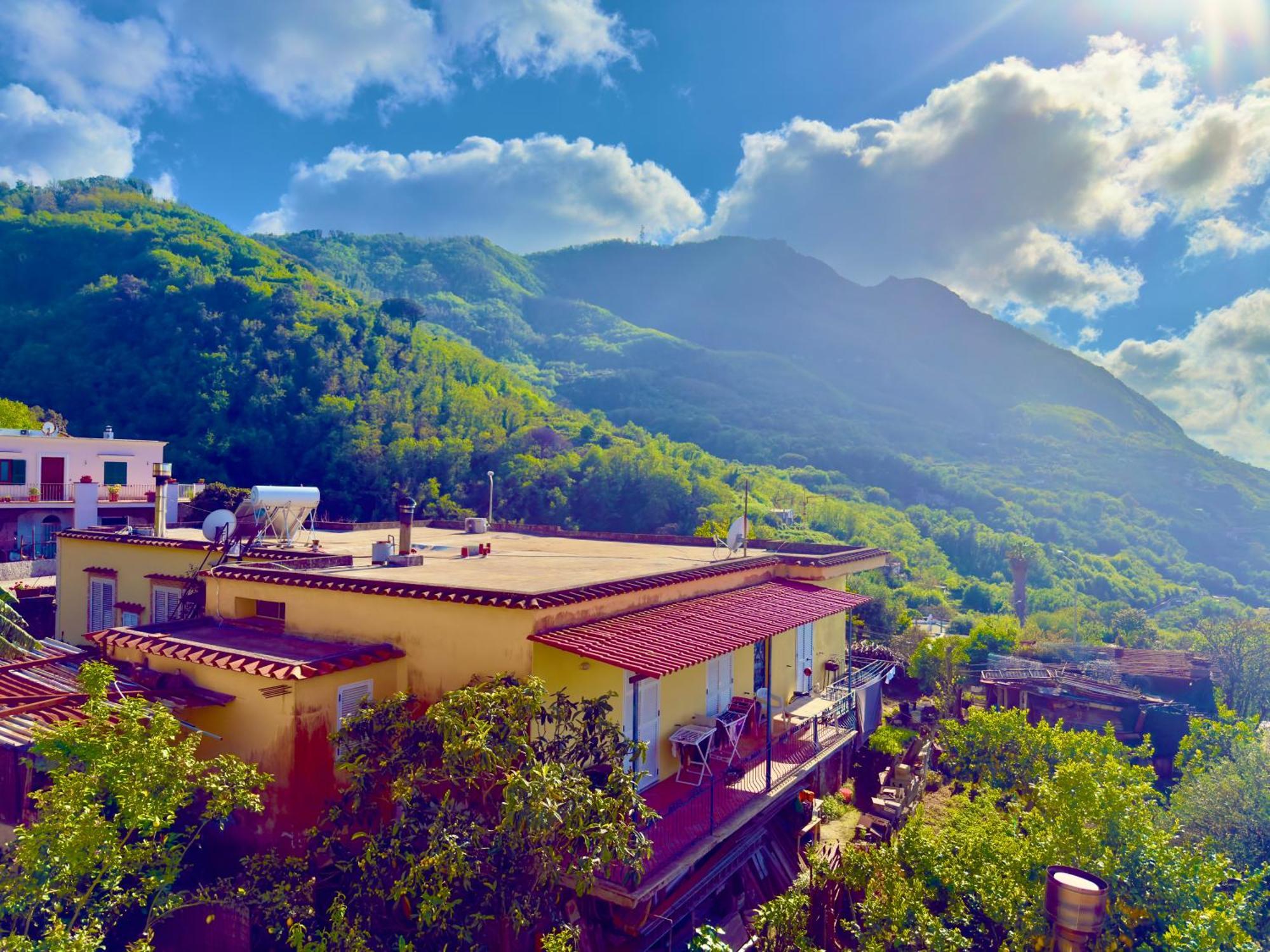 Fiorentina Hotel